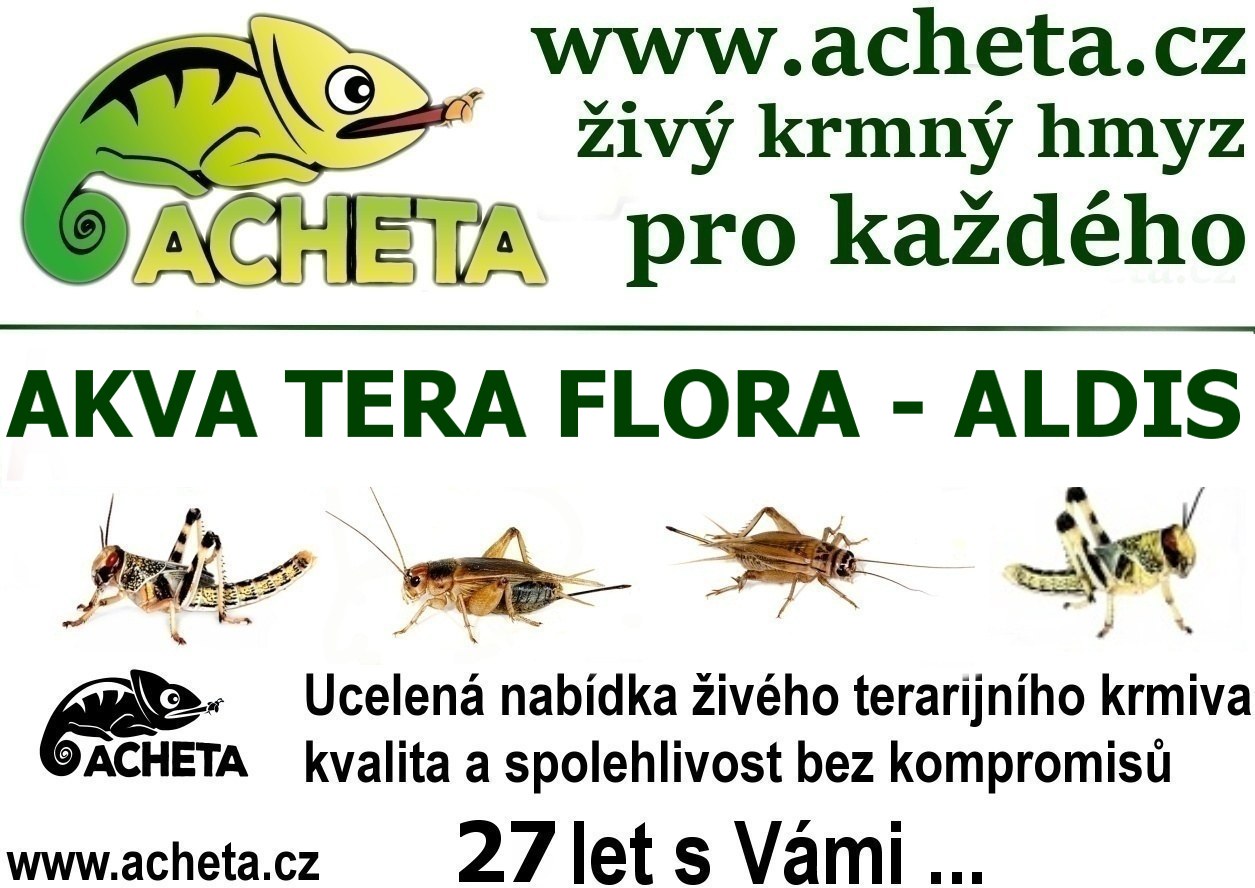 Burza Akva Tera Flora - Hradec Králové ALDIS - 17. března 2024