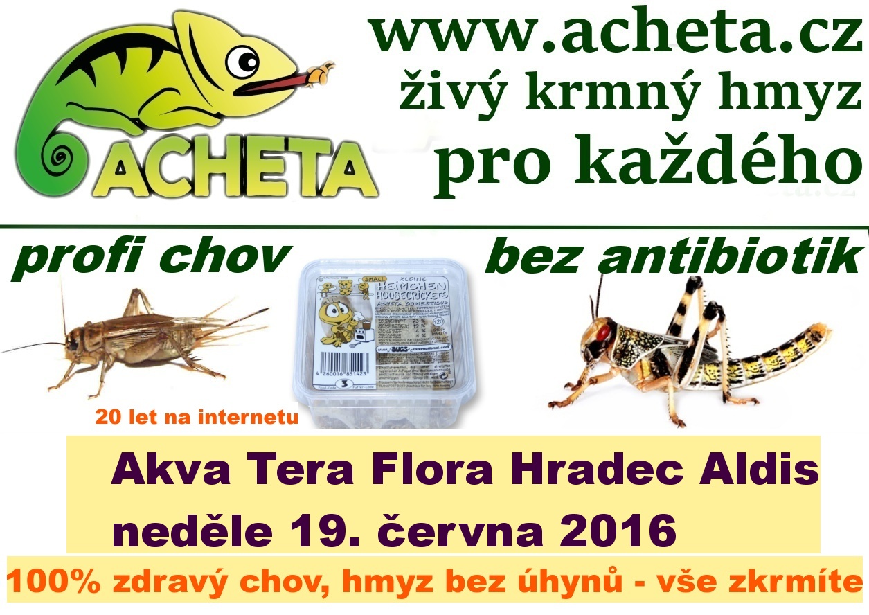 Burza Akva Tera Flora - Hradec Králové ALDIS - 19. června 2016