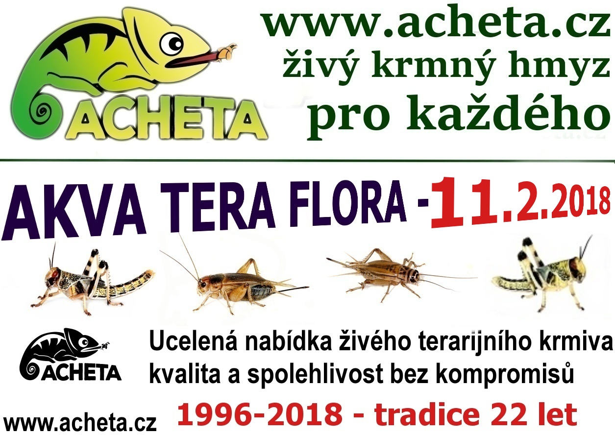 Burza Akva Tera Flora - Hradec Králové ALDIS - 11. února 2018
