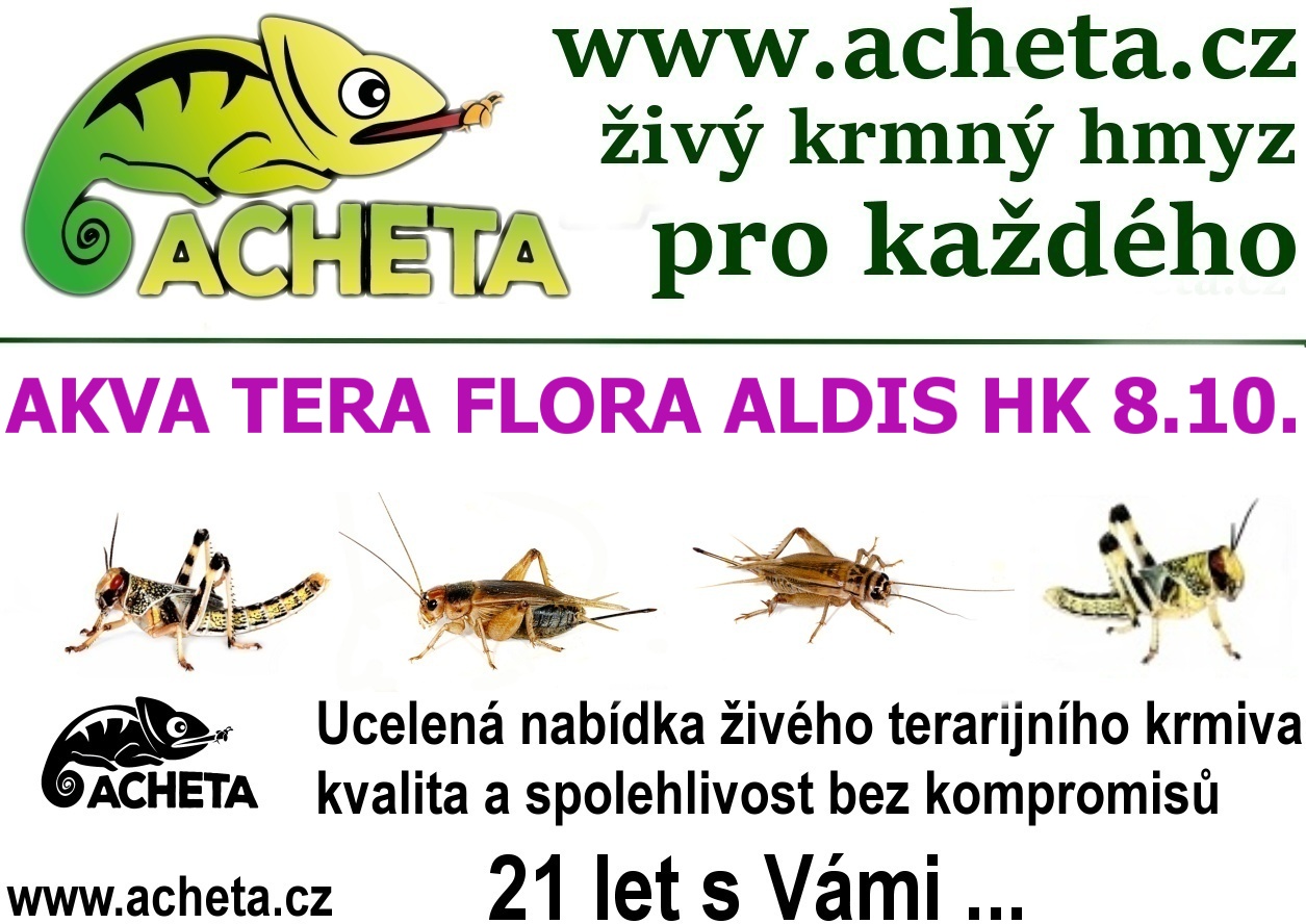 Burza Akva Tera Flora - Hradec Králové ALDIS - 8. října 2017