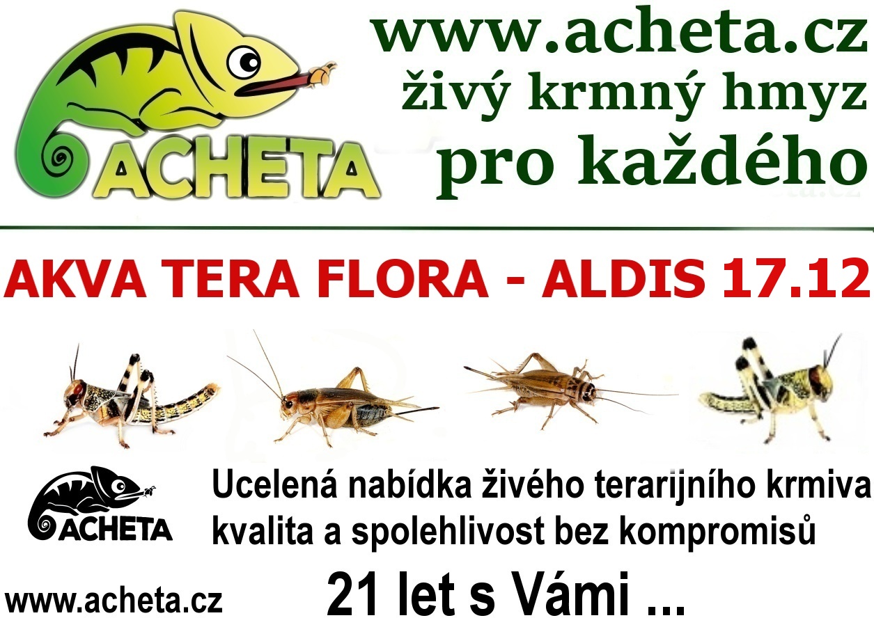 Burza Akva Tera Flora - Hradec Králové ALDIS - 17. prosince 2017