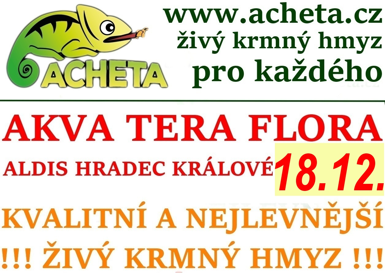 Burza Akva Tera Flora - Hradec Králové ALDIS - 18. prosince 2016