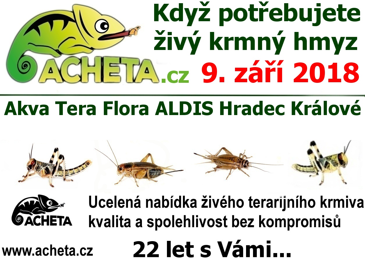 Burza Akva Tera Flora - Hradec Králové ALDIS - 9. září 2018