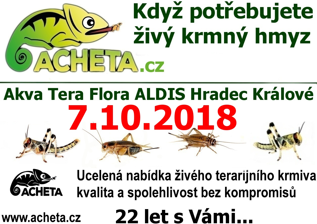 Burza Akva Tera Flora - Hradec Králové ALDIS - 7. října 2018