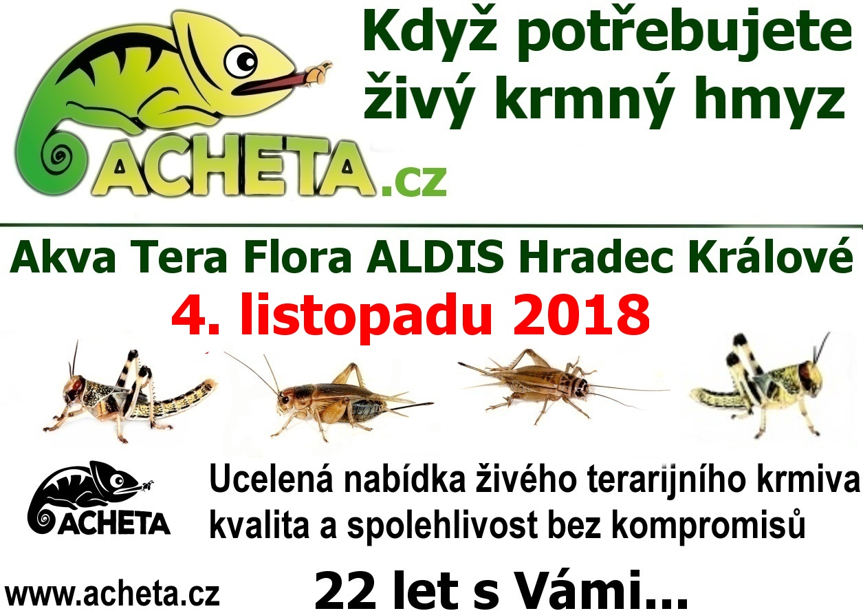 Burza Akva Tera Flora - Hradec Králové ALDIS - 4. listopadu 2018