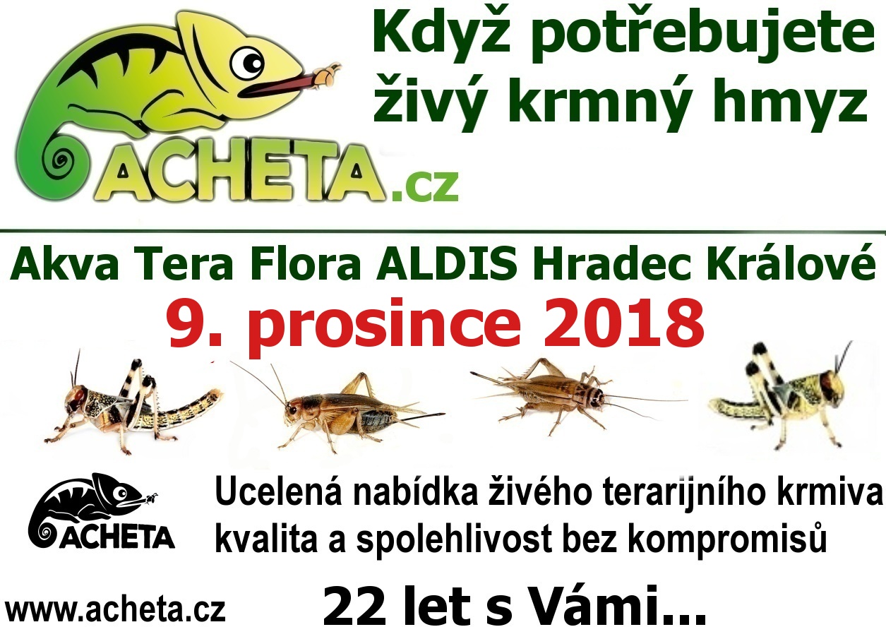Burza Akva Tera Flora - Hradec Králové ALDIS - 9. prosince 2018