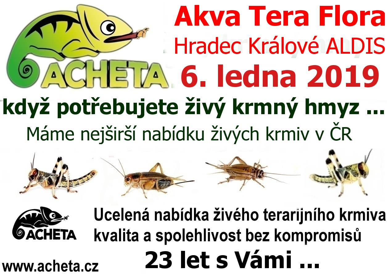Burza Akva Tera Flora - Hradec Králové ALDIS - 6. ledna 2019
