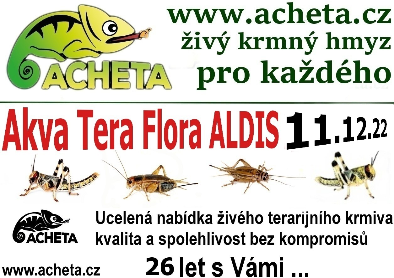 Burza Akva Tera Flora - Hradec Králové ALDIS - 11. prosince 2022