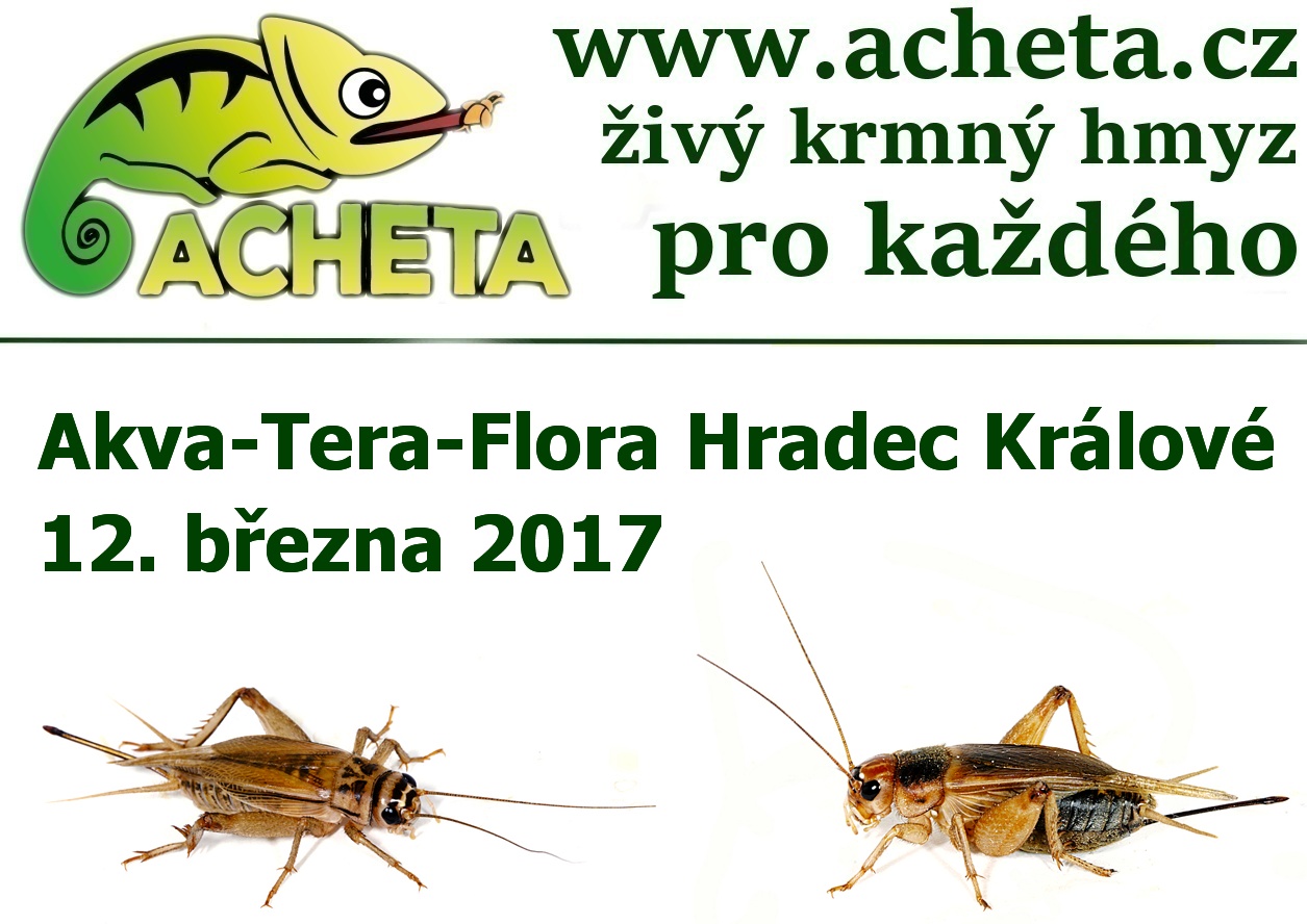 Burza Akva Tera Flora - Hradec Králové ALDIS - 12. března 2017