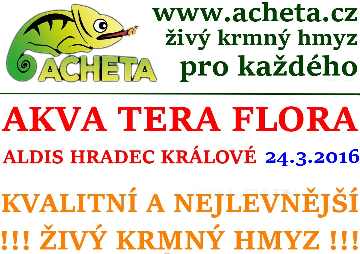 Burza Akva Tera Flora - Hradec Králové ALDIS - 24. dubna 2016