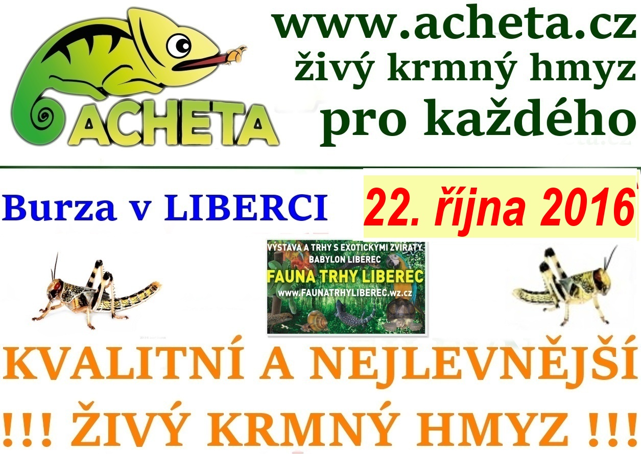 Fauna trhy v Liberci 22. října 2016 Centrum Babylon