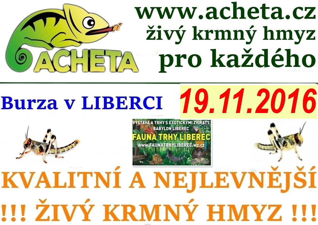 Fauna trhy v Liberci 19. listopadu 2016 Centrum Babylon