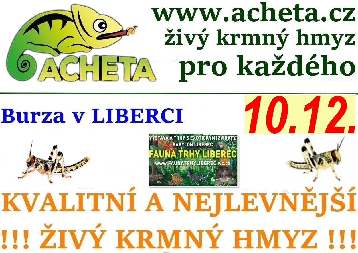 Fauna trhy v Liberci 10. prosince 2016 Centrum Babylon