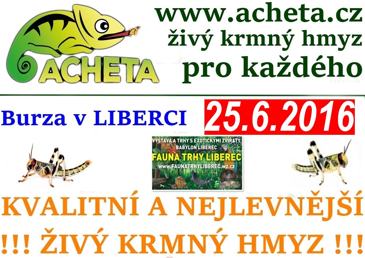 Fauna trhy v Liberci 25. června 2016 Centrum Babylon