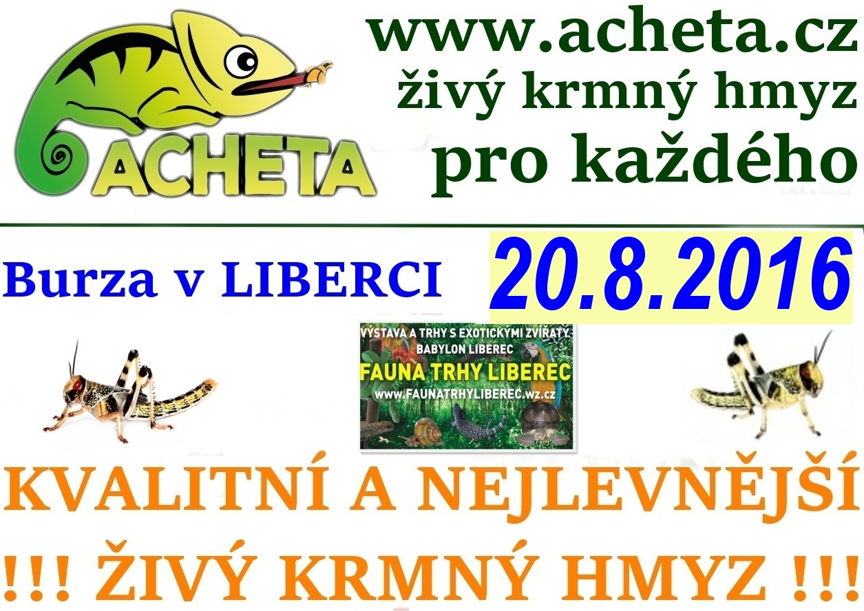 Fauna trhy v Liberci 20. srpna 2016 Centrum Babylon