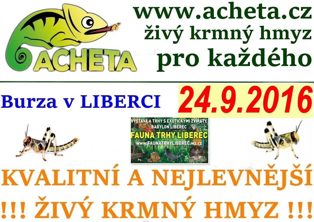 Fauna trhy v Liberci 24. září 2016 Centrum Babylon