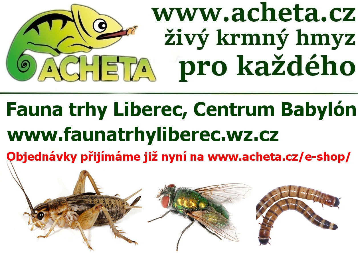 Fauna trhy v Liberci 25. března 2017 Centrum Babylon