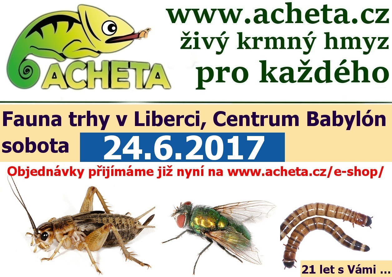 Fauna trhy v Liberci 24. června 2017 Centrum Babylon