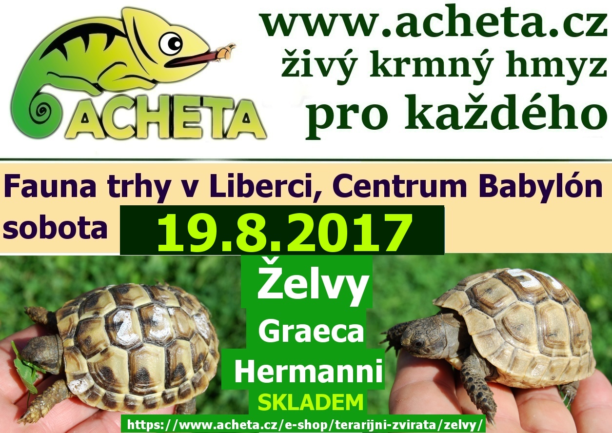 Fauna trhy v Liberci 19. srpna 2017 Centrum Babylon