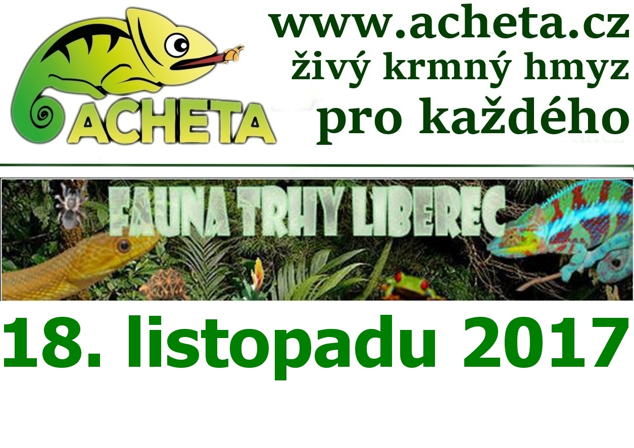 Fauna trhy v Liberci 18. listopadu 2017 Centrum Babylon