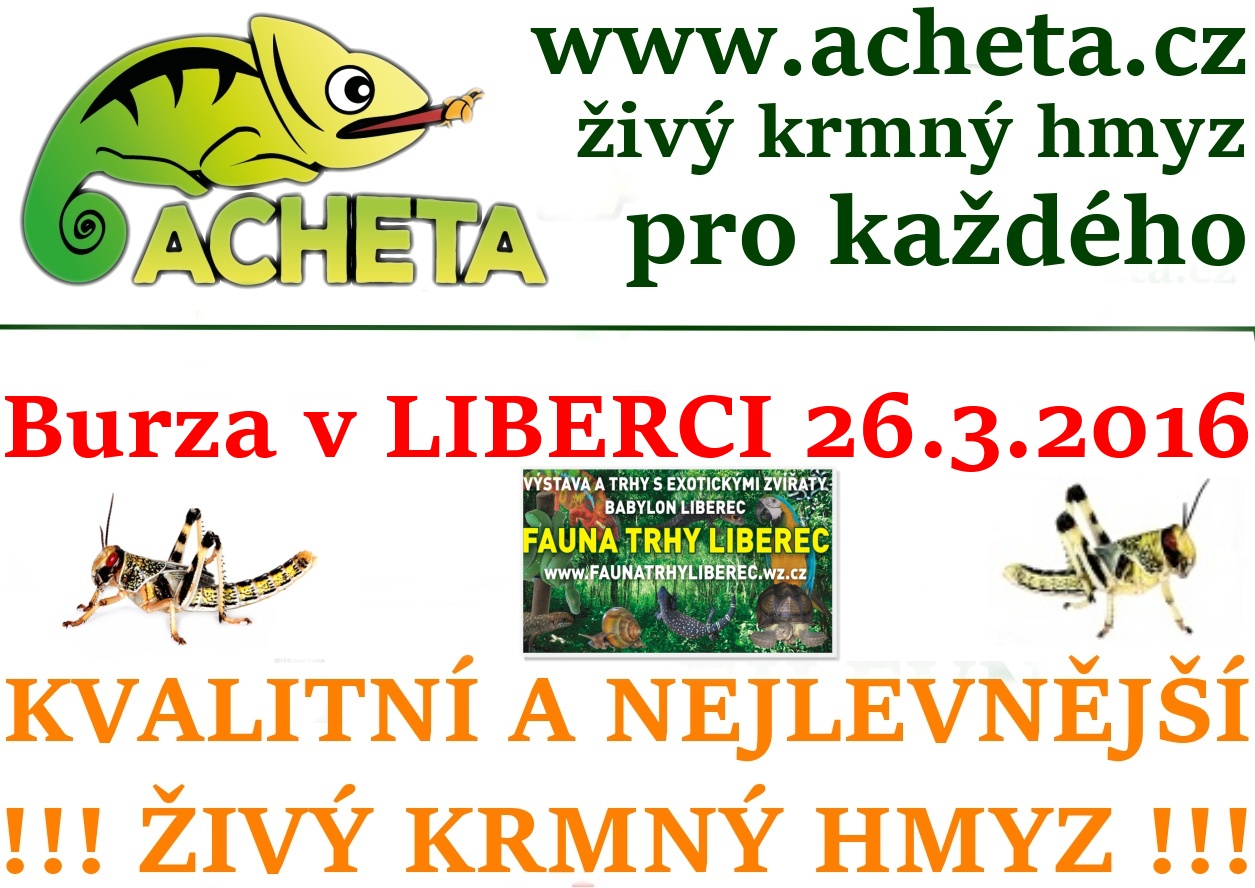 Fauna trhy v Liberci 26. března 2016 Centrum Babylon