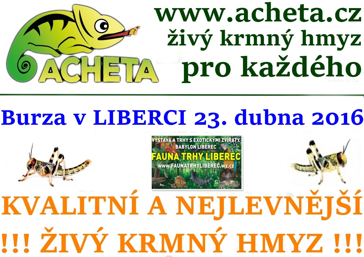 Fauna trhy v Liberci 24. dubna 2016 Centrum Babylon