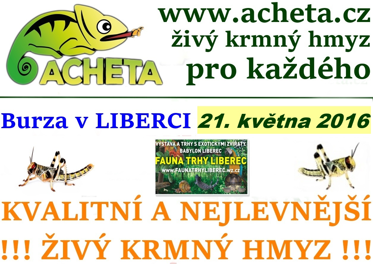 Fauna trhy v Liberci 21. května 2016 Centrum Babylon