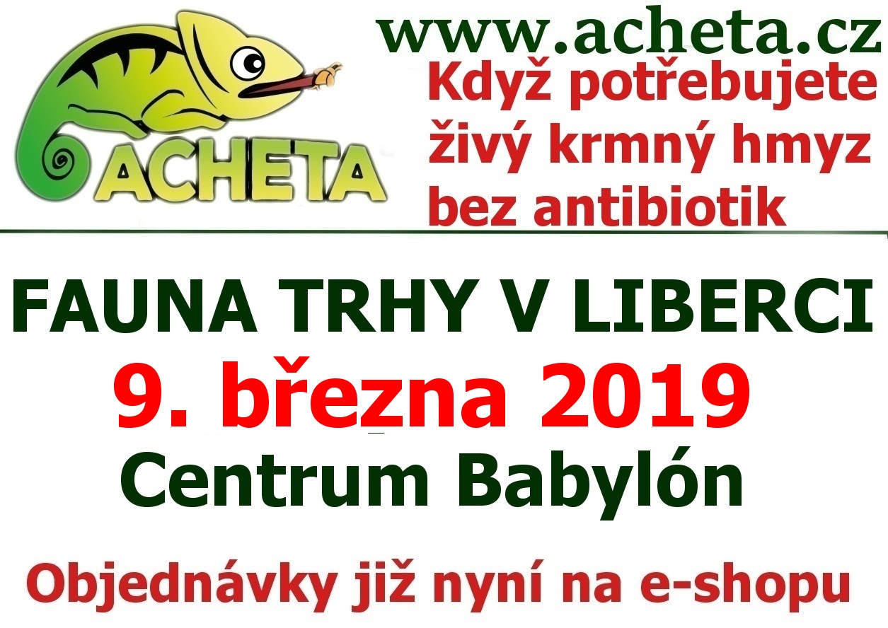 Fauna Trhy v Liberci 9. března 2019 Centrum Babylon