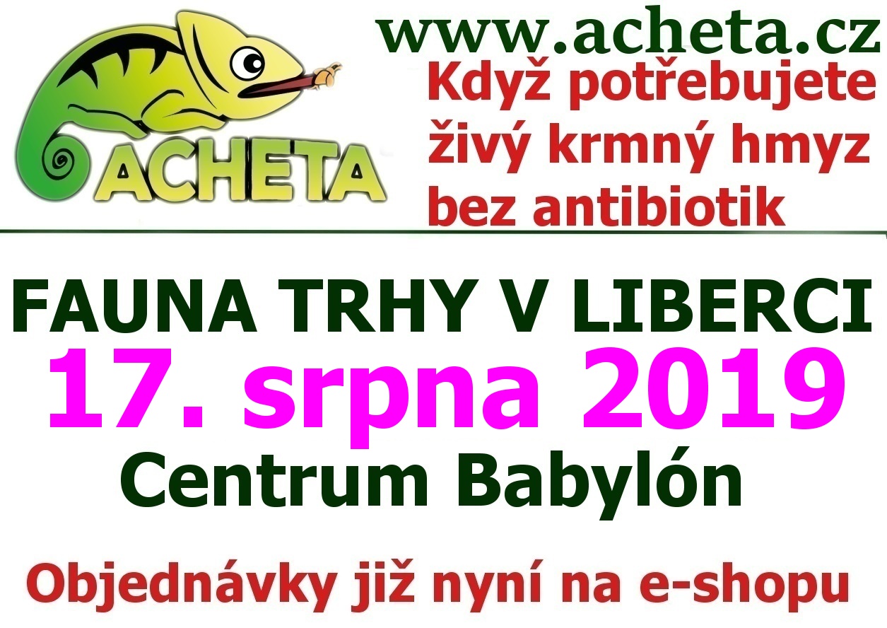 Fauna Trhy v Liberci 17. srpna 2019 Centrum Babylon