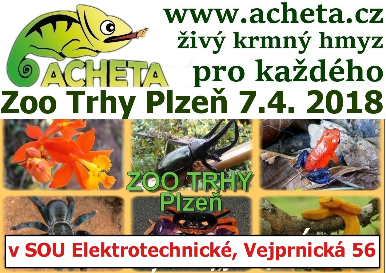 ZOO Trhy v PLZNI 7. dubna 2018 Střední odborné učiliště elektrotechnické, Veprnická 56