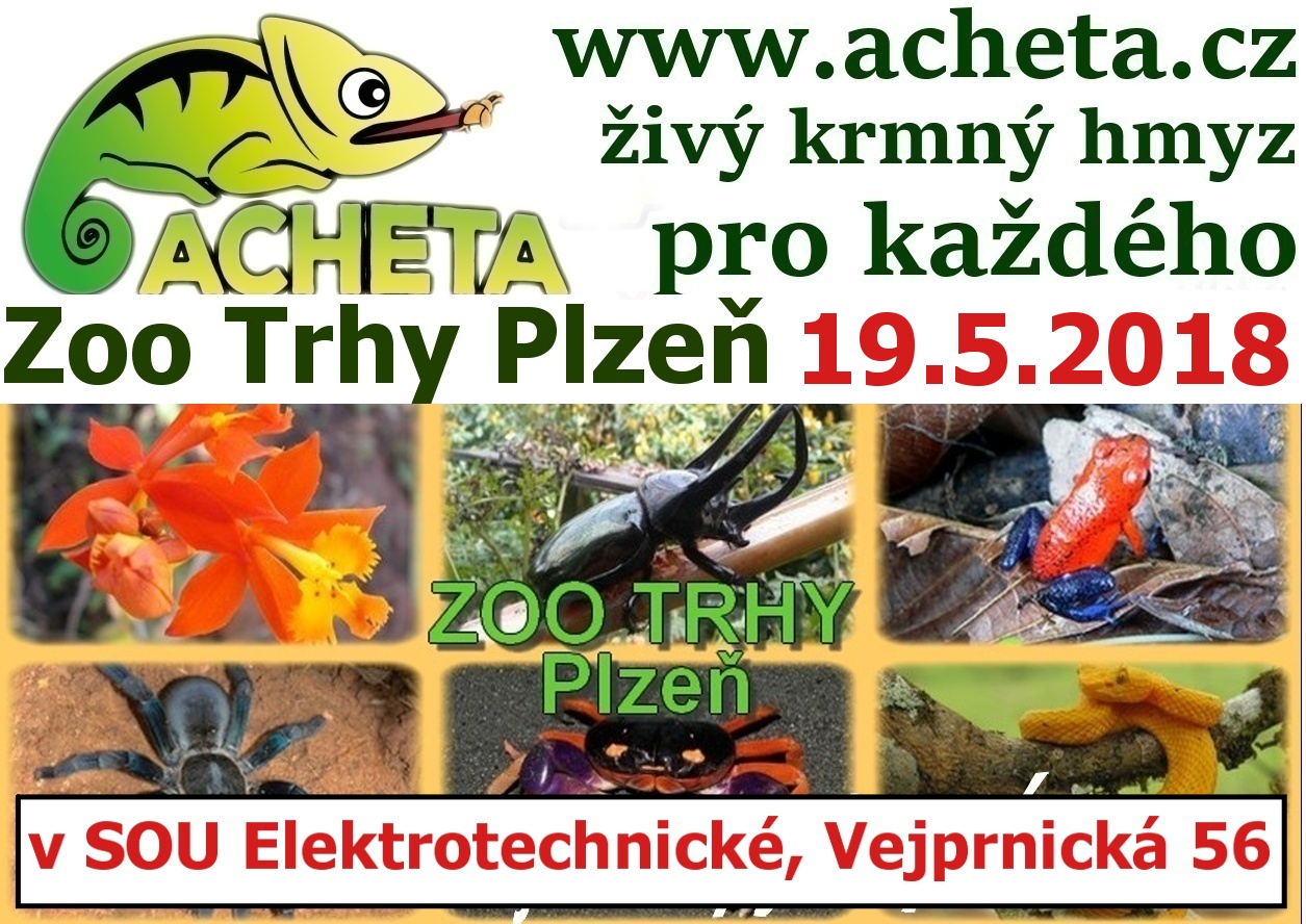 ZOO Trhy v PLZNI 19. května 2018 Střední odborné učiliště elektrotechnické, Vejprnická 56