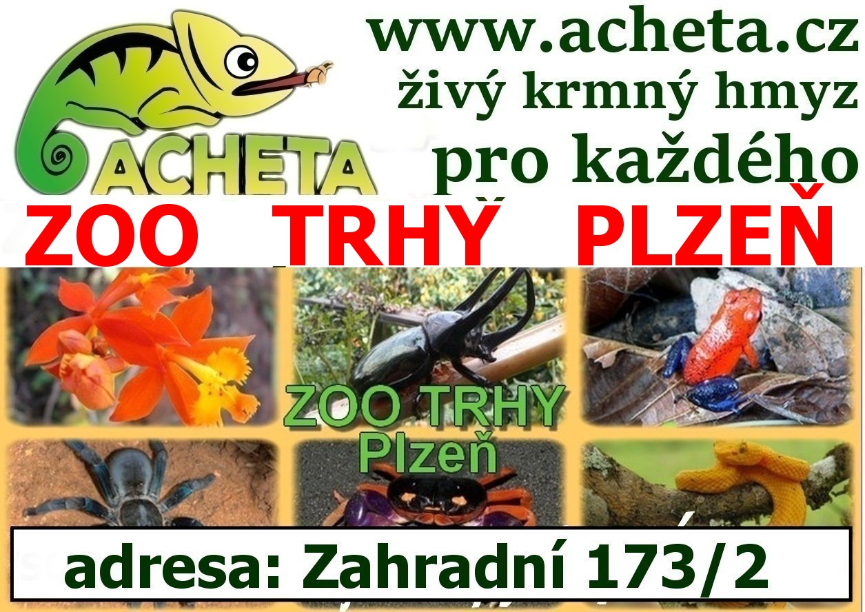 ZOO Trhy v PLZNI 9. prosince 2023 areál papíren Zahradní 173/2