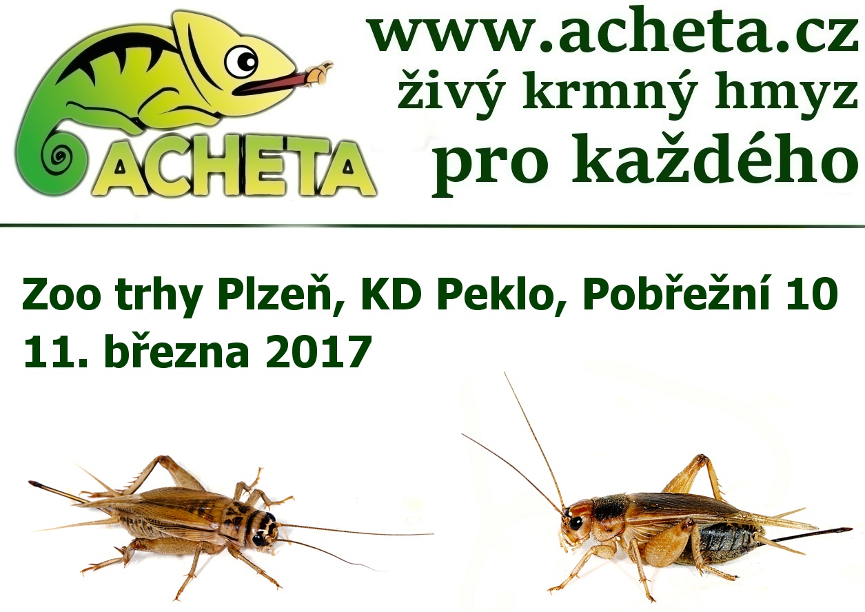 ZOO Trhy v PLZNI 11. března 2017 KD Peklo