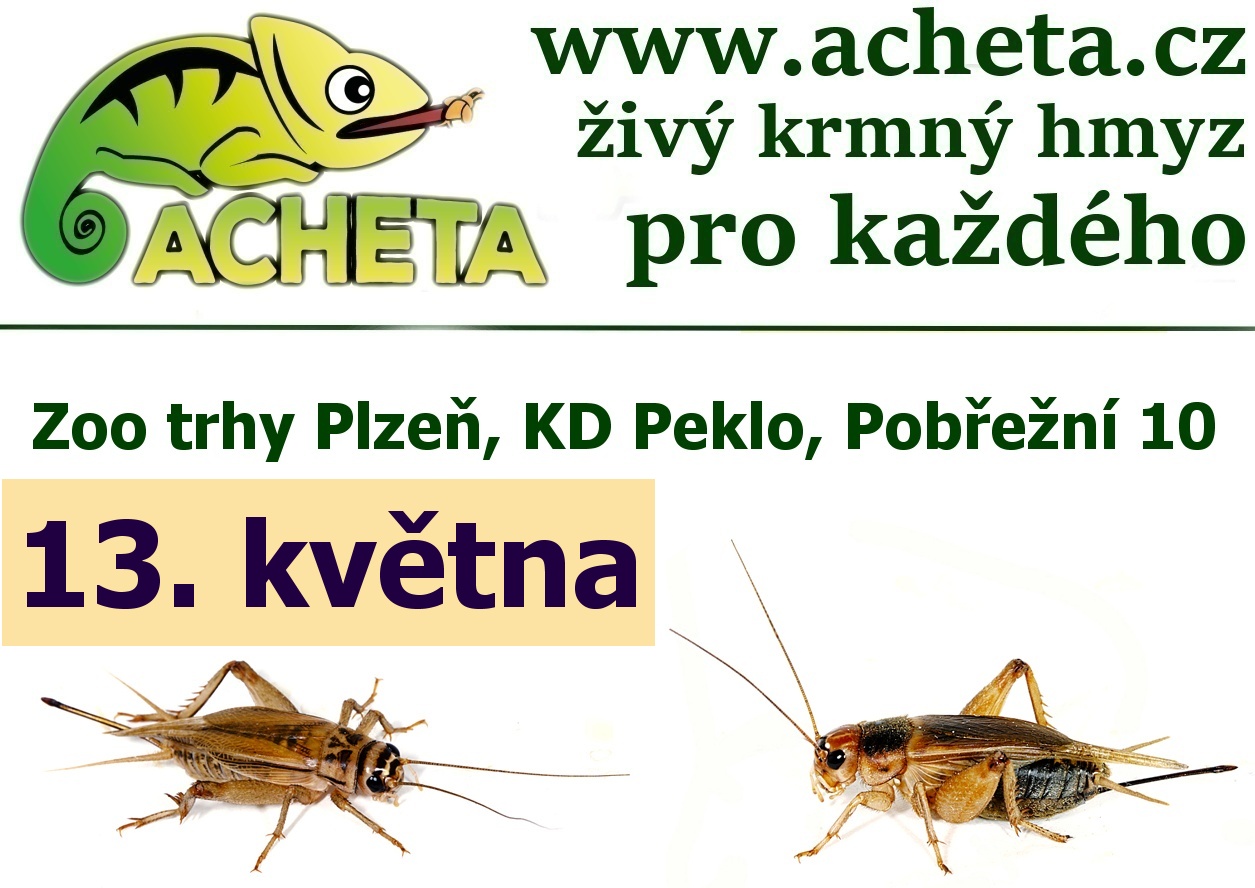 ZOO Trhy v PLZNI 13. května 2017 KD Peklo