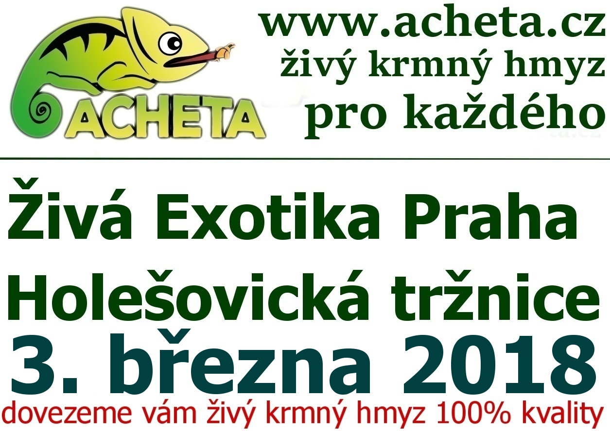 ŽIVÁ EXOTIKA Praha - Holešovice v sobotu 3. března 2018