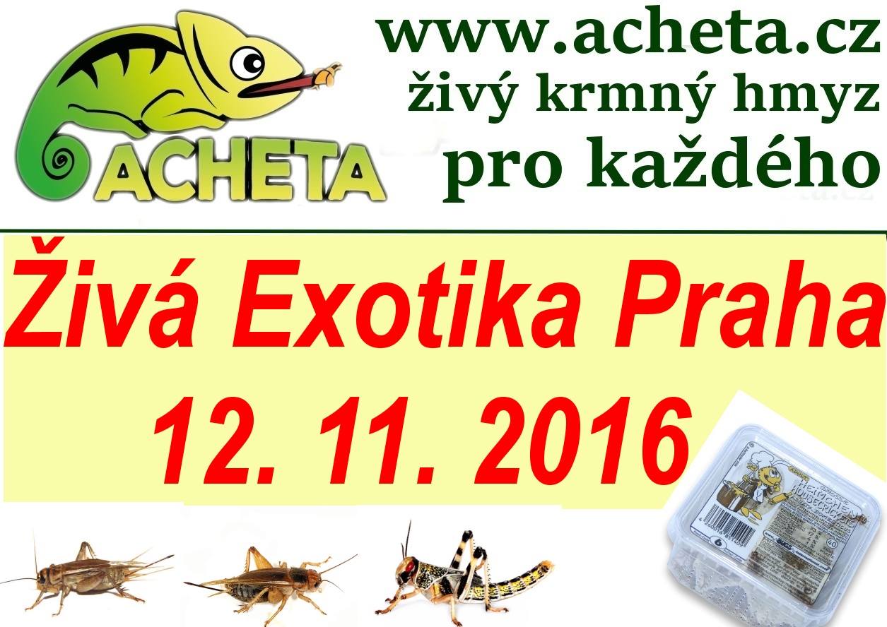 ŽIVÁ EXOTIKA Praha - Holešovice v sobotu 12. listopadu 2016