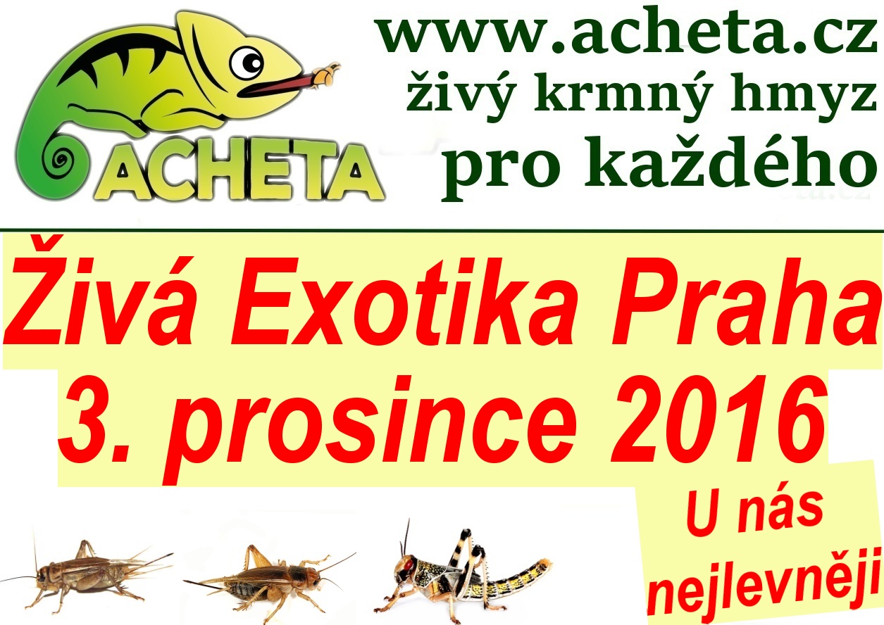 ŽIVÁ EXOTIKA Praha - Holešovice v sobotu 3. prosince 2016