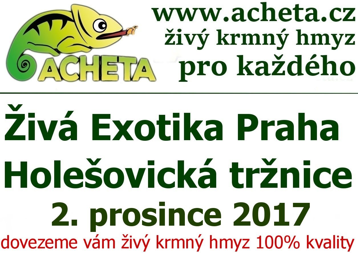 ŽIVÁ EXOTIKA Praha - Holešovice v sobotu 2. prosince 2017