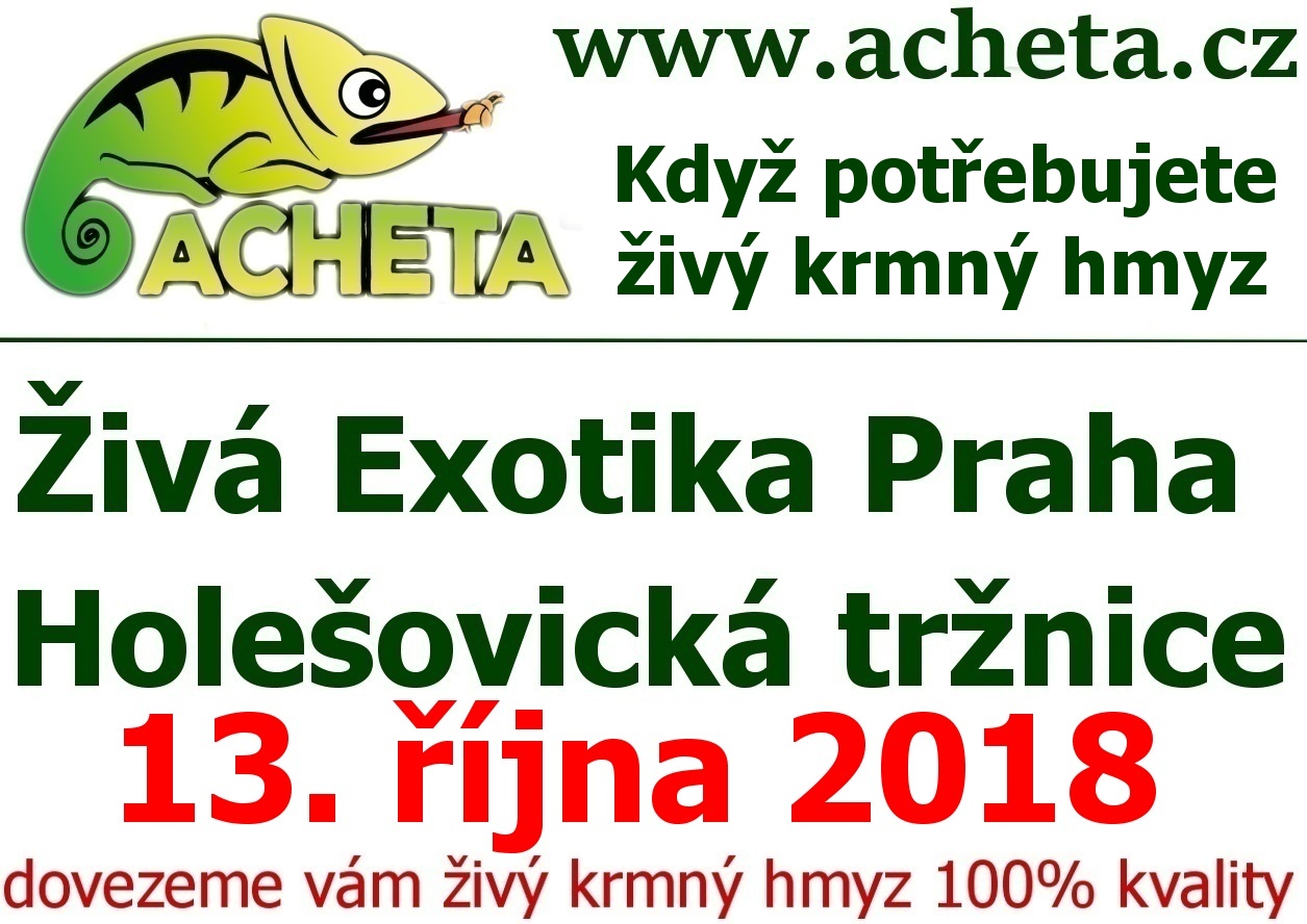 ŽIVÁ EXOTIKA Praha - Holešovice v sobotu 13. října 2018