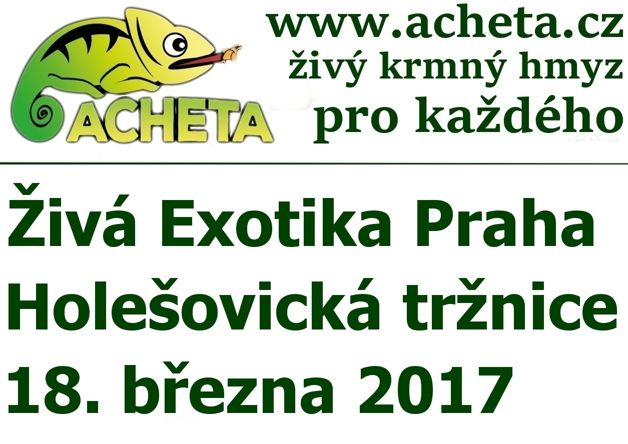 ŽIVÁ EXOTIKA Praha - Holešovice v sobotu 18. března 2017