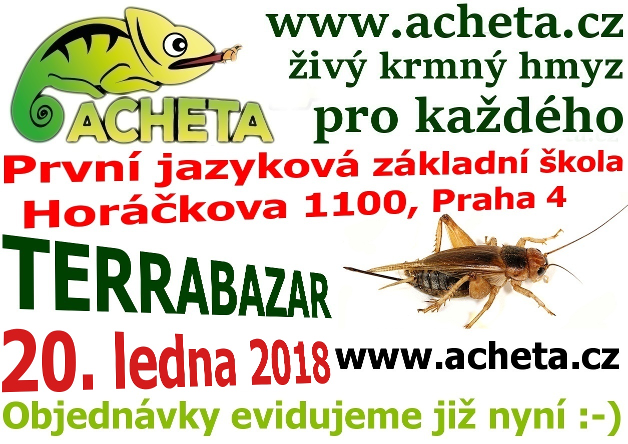 Terrabazar v Praze 20. ledna 2018 - První jazyková základní škola, Horáčkova 1100, Praha 4, u metra Pankrác