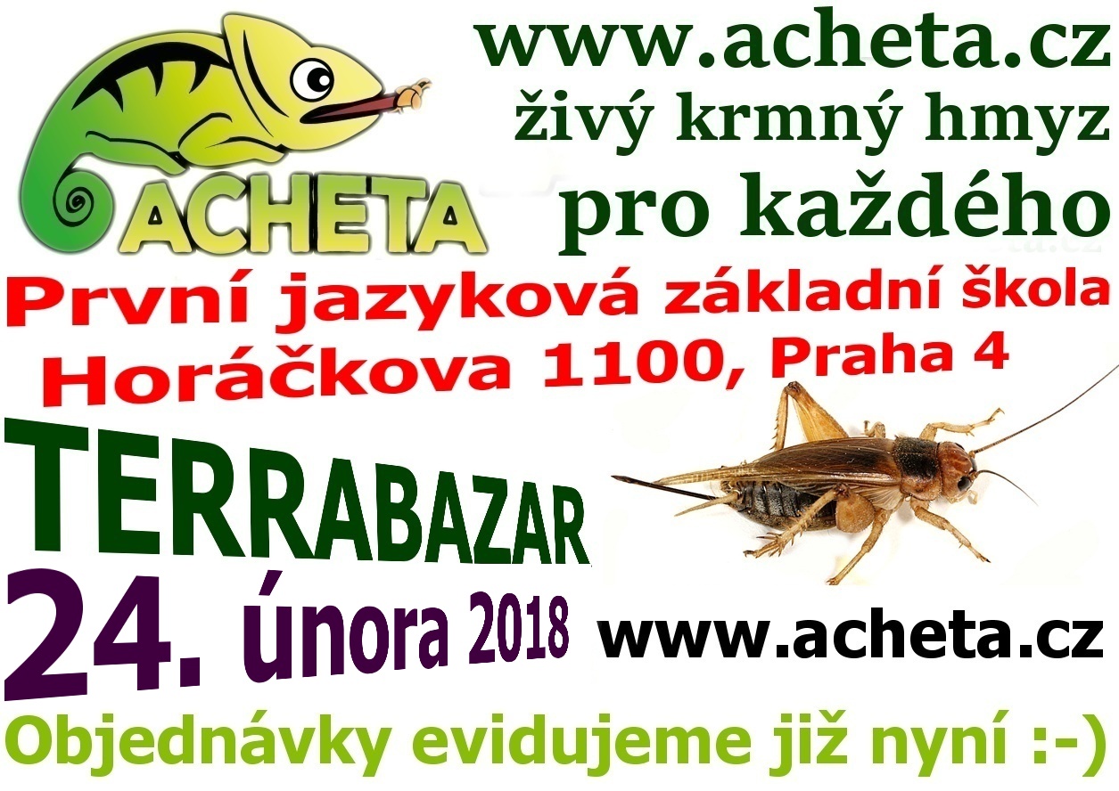 Terrabazar v Praze 24. února 2018 - První jazyková základní škola, Horáčkova 1100, Praha 4, u metra Pankrác