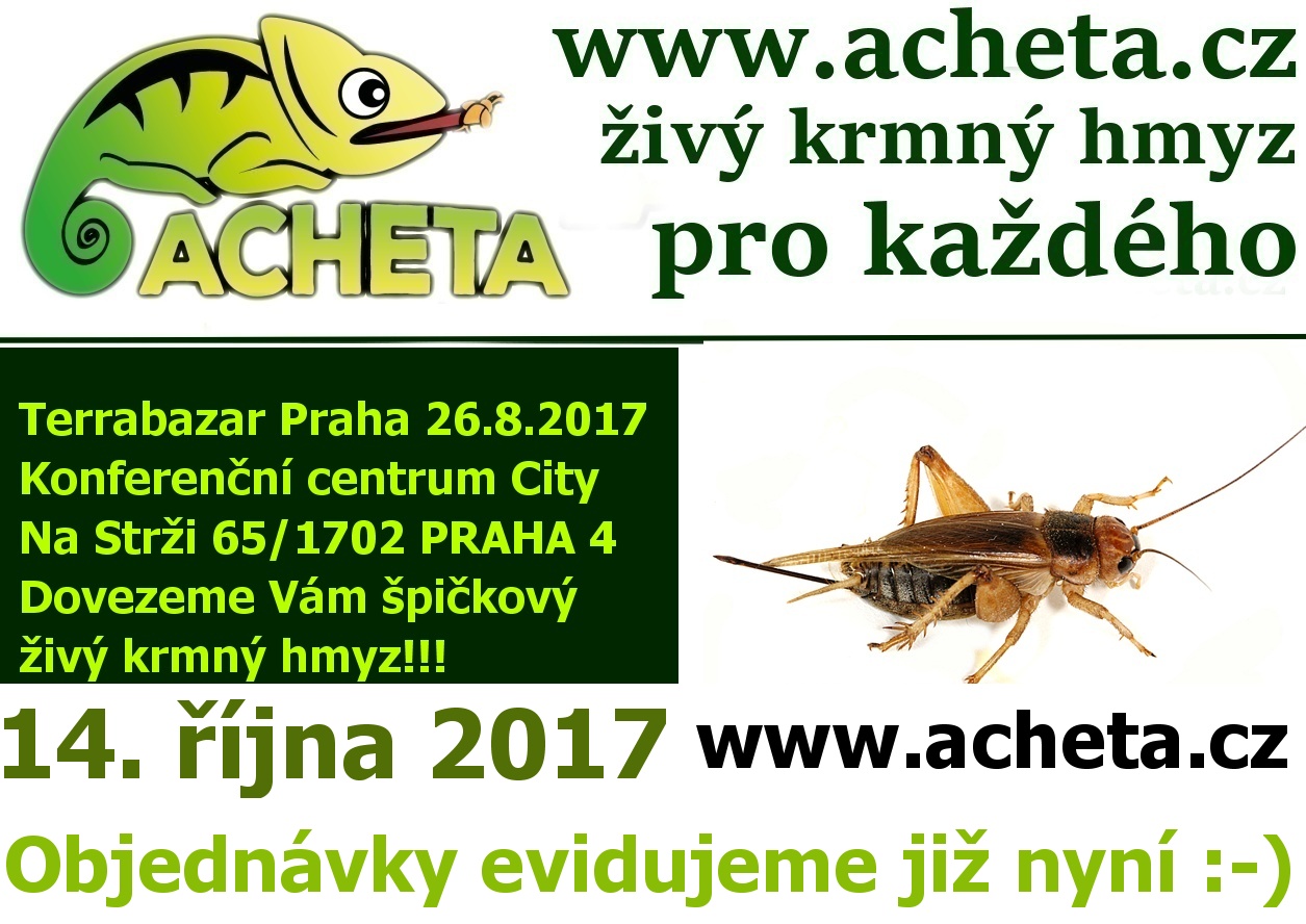 Terrabazar v Praze 14. října 2017 - První jazyková základní škola, Horáčkova 1100, Praha 4, u metra Pankrác