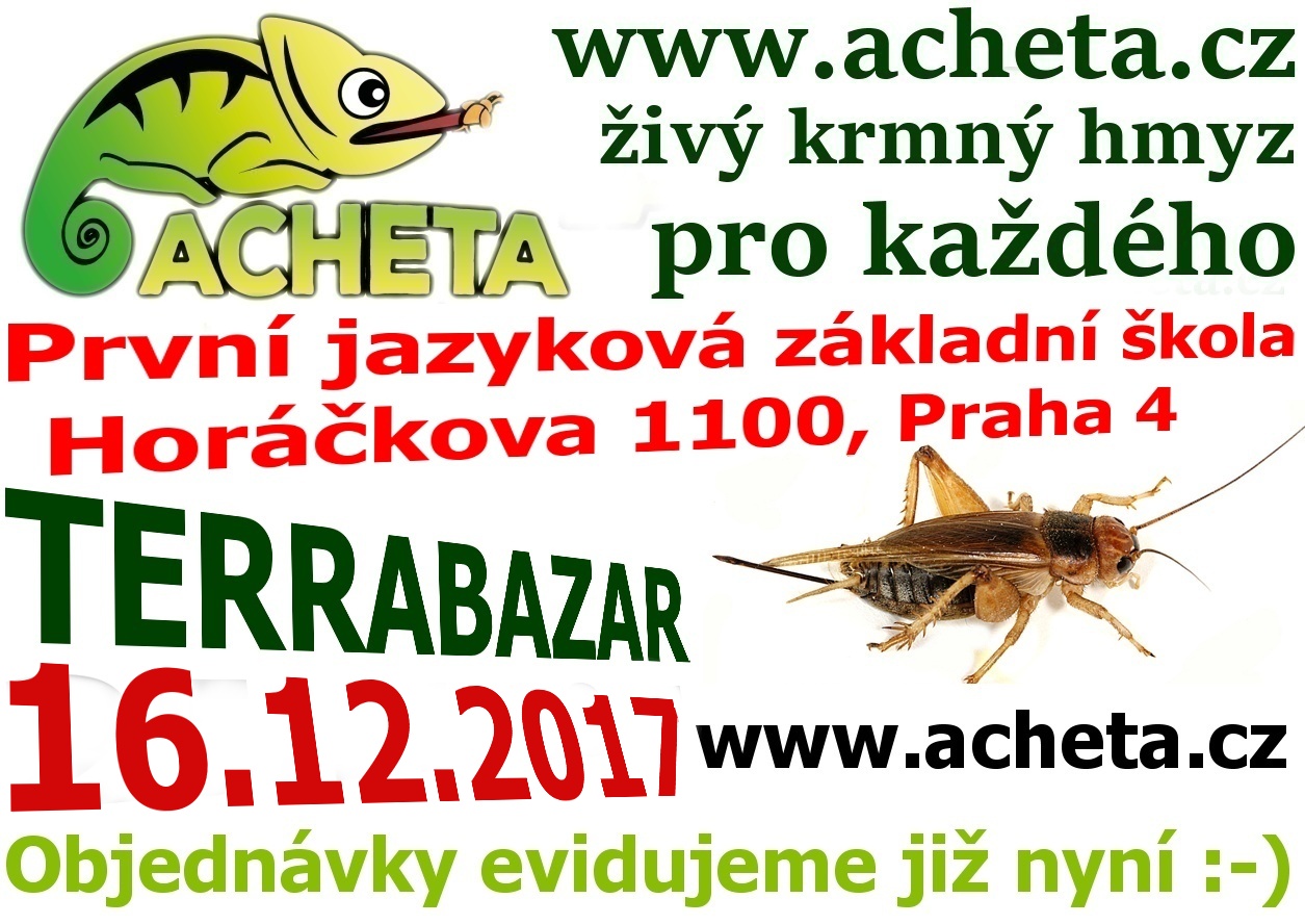 Terrabazar v Praze 16. prosince 2017 - První jazyková základní škola, Horáčkova 1100, Praha 4, u metra Pankrác