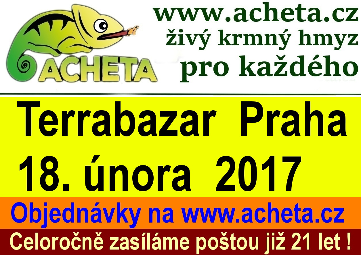 Terrabazar v Praze 18. února 2017 - Konferenční centrum City