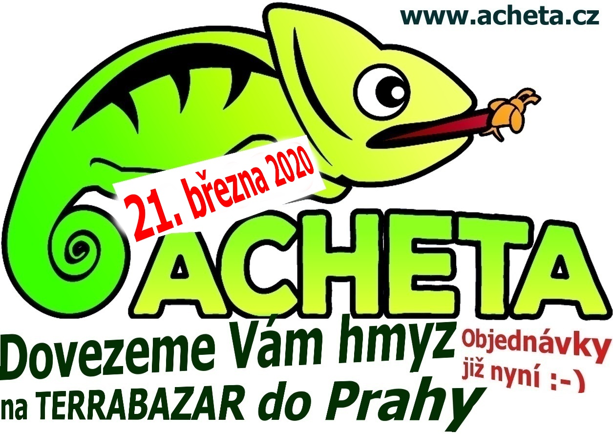 Terrabazar v Praze 21. března 2020 - První jazyková základní škola, Horáčkova 1100, Praha 4, u metra Pankrác