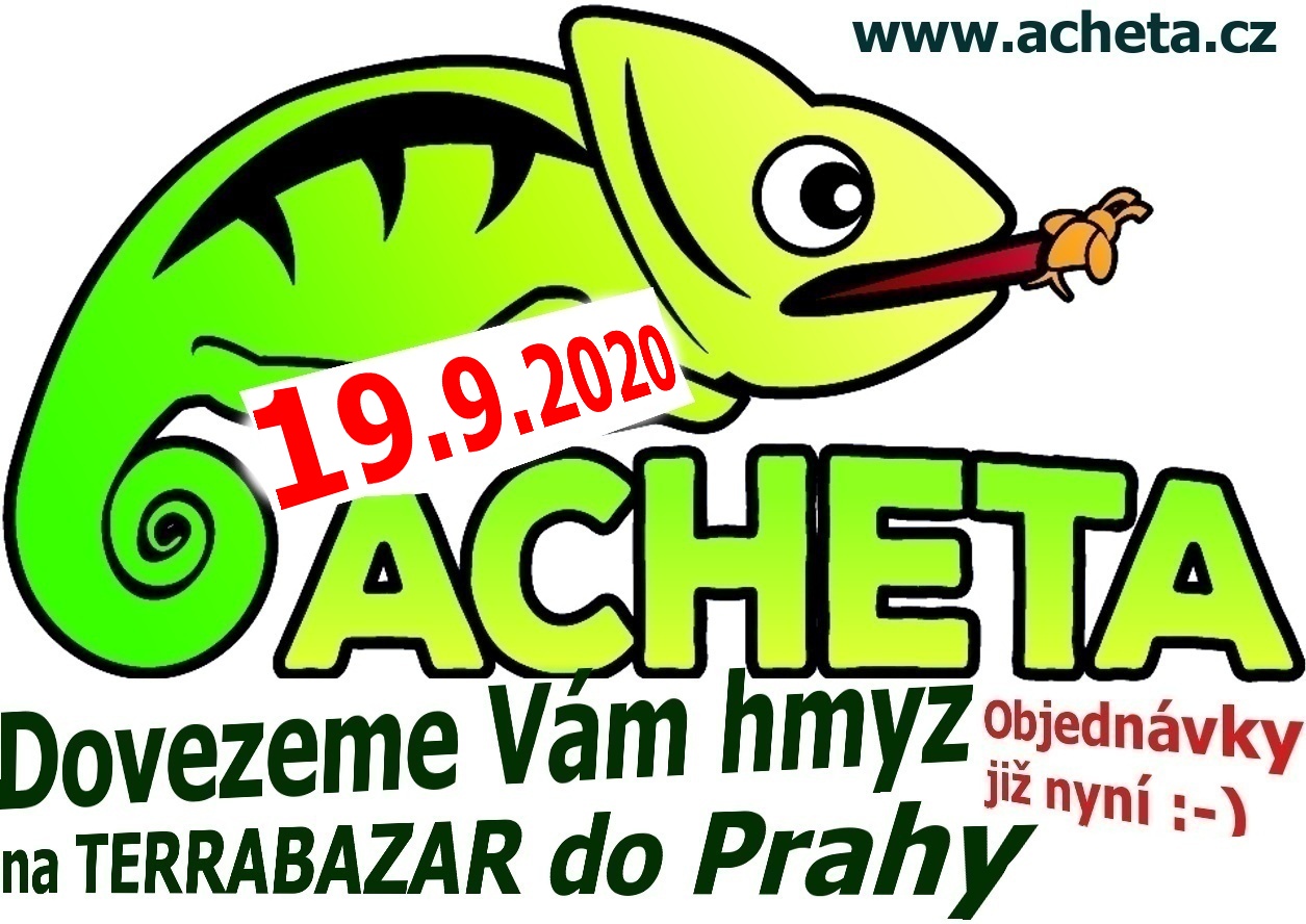 Terrabazar v Praze 19. září 2020  - První jazyková základní škola, Horáčkova 1100, Praha 4, u metra Pankrác