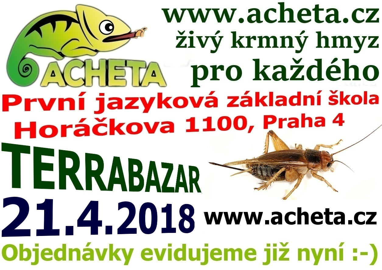 Terrabazar v Praze 21. dubna 2018 - První jazyková základní škola, Horáčkova 1100, Praha 4, u metra Pankrác