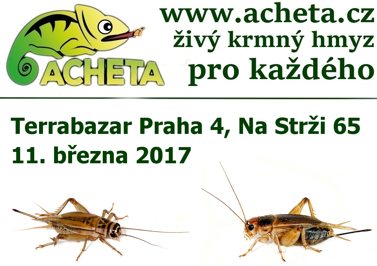 Terrabazar v Praze 11. března 2017 - Konferenční centrum City