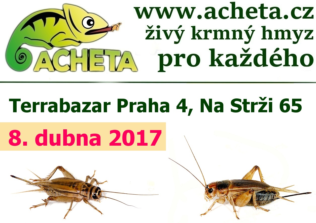 Terrabazar v Praze 8. dubna 2017 - Konferenční centrum City